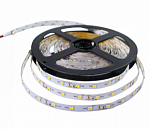 LED лента открытая RT3528 60LED/1м 4,8W/1м белая  от интернет-магазина Автоимидж в Сургуте 